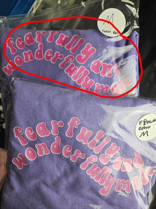 OOPSIE SALE - Fearfully and Wonderfully Made Retro Tee - Clothed In Blessings