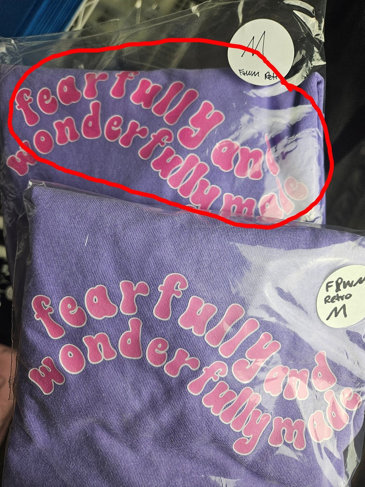 OOPSIE SALE - Fearfully and Wonderfully Made Retro Tee - Clothed In Blessings